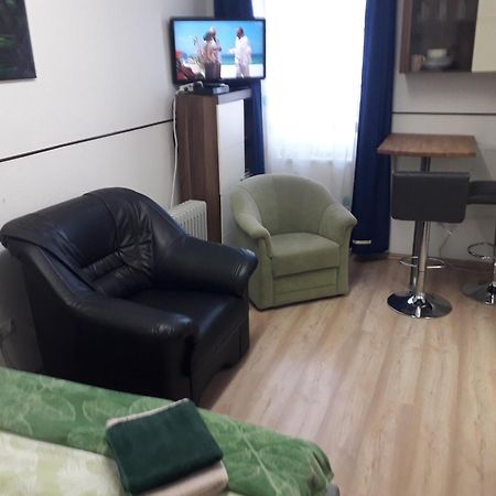 Apartment Ap 1 Im Zentrum Steyr, Bestrooms Eu Exteriör bild