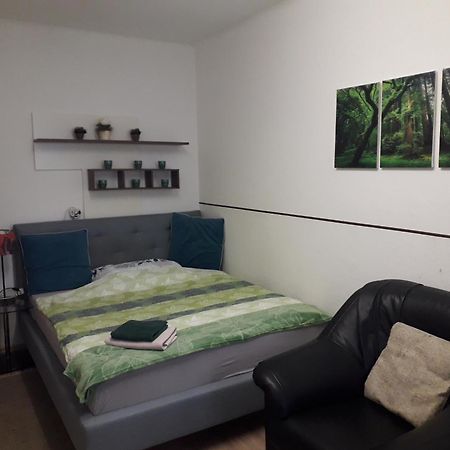 Apartment Ap 1 Im Zentrum Steyr, Bestrooms Eu Exteriör bild